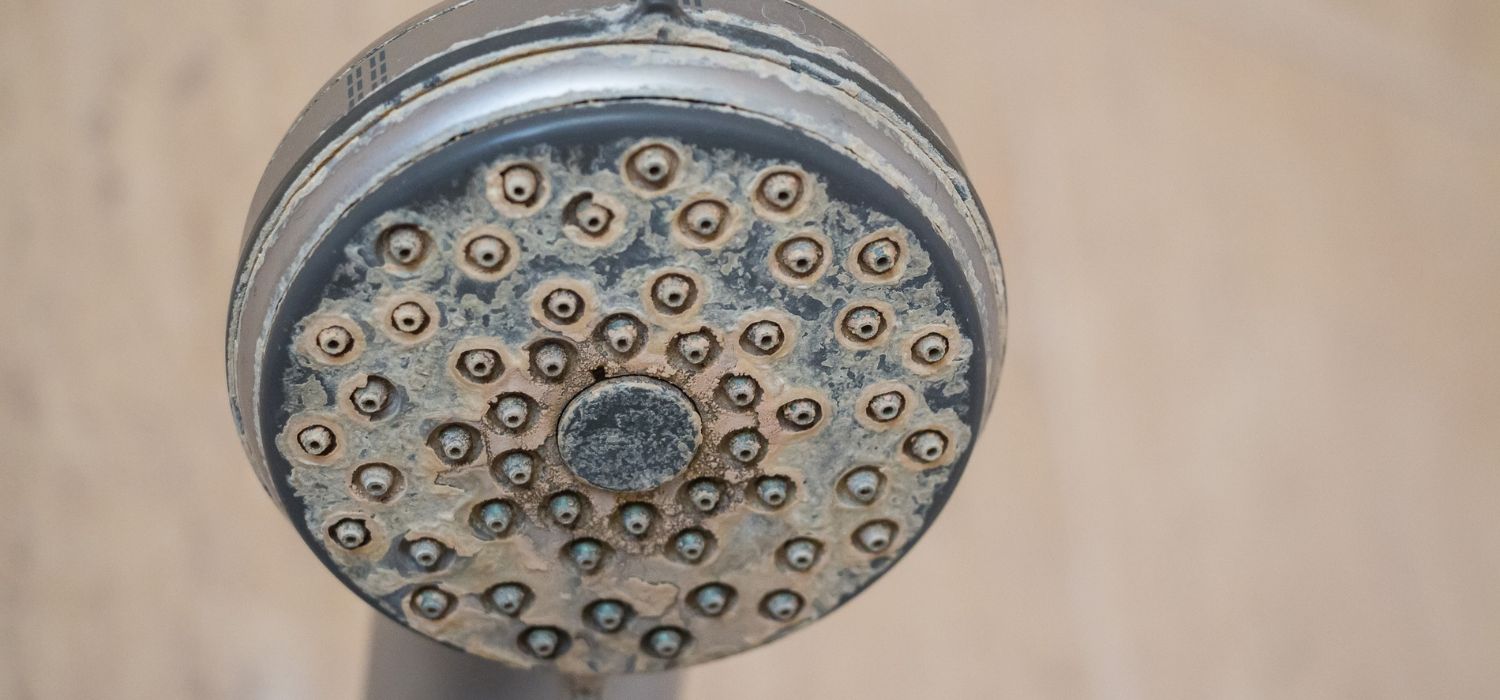 Close-up of a showerhead clogged with limescale buildup, showing mineral deposits caused by hard water over time.